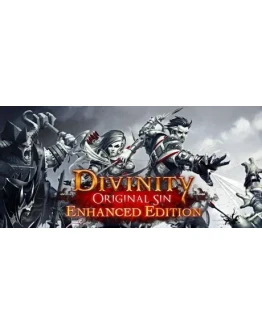 Divinity: Original Sin Enhanced Edition (Steam Gift RU)