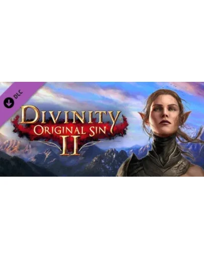 Divinity: Original Sin 2 - Divine Ascension (Steam RU)