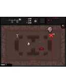 Binding of Isaac Bundle (Steam Gift Россия)