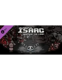 Binding of Isaac: Wrath of the Lamb (Steam Gift Россия)