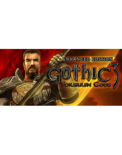 Gothic 3: Forsaken Gods Enhanced Edition Steam Gift RU