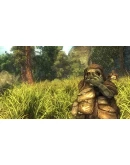 Risen (Steam Gift Россия)