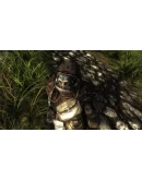 Risen (Steam Gift Россия)