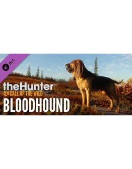 theHunter Call of the Wild - Bloodhound (DLC) STEAM theHunter Call of the Wild - Bloodhound (DLC) STEAM