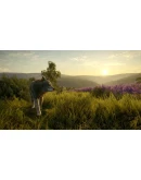 theHunter: Call of the Wild - Cuatro ColinasSTEAM