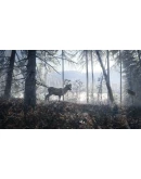 TheHunter Call of the Wild - Medved-Taiga (DLC) STEAM