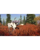 theHunter Call of the Wild - Yukon Valley (DLC) STEAM