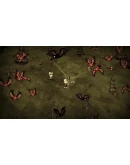 Don't Starve Together: Console Edition Xbox активация