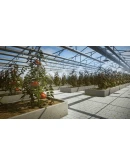 Pure Farming 2018 Digital Deluxe Xbox активация