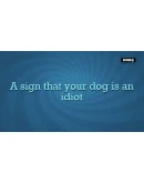 Quiplash 2 InterLASHional: The Say Any Xbox активация