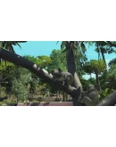 Zoo Tycoon: Ultimate Animal Collection Xbox активация