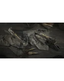 Hunt: Showdown - The Prescient Night (Steam Gift RU)