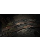 Hunt: Showdown - The Lawless (Steam Gift Россия)