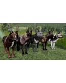 WolfQuest Anniversary - Building Character Pack DLC