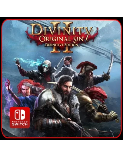 Divinity: Original Sin 2 Definitive Edition Switch