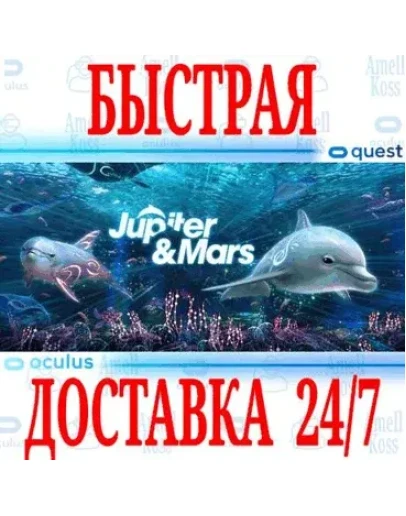 Jupiter &amp Mars VR OCULUS QUEST АВТОВЫДАЧА 24/7+
