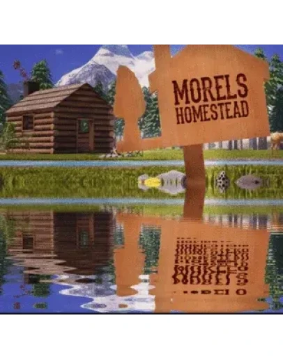 Morels: Homestead (Oculus Quest 12Pro) VRGift