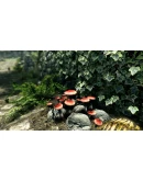 THE ELDER SCROLLS V: SKYRIM SPECIAL EDITIONXBOXКЛЮЧ THE ELDER SCROLLS V: SKYRIM SPECIAL EDITIONXBOXКЛЮЧ