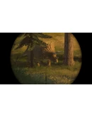 Carnivores: Dinosaur Hunt Xbox OneXS активация Carnivores: Dinosaur Hunt Xbox OneXS активация