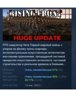 Rising Front АВТОДОСТАВКА STEAM GIFT РОССИЯ