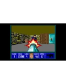 Wolfenstein 3D Xbox One & Xbox Series XS активация Wolfenstein 3D Xbox One & Xbox Series XS активация