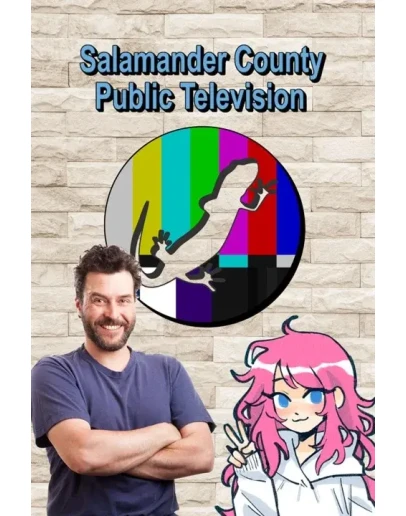 Salamander County Public Television Xbox активация
