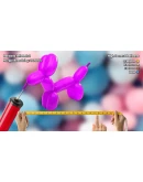 Salamander County Public Television Xbox активация