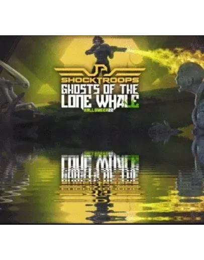 Shock Troops (Oculus Quest 2Pro) VRRegionFreeGift