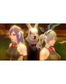 Rabbit Burn АВТОДОСТАВКА STEAM GIFT РОССИЯ