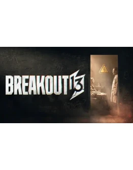 Breakout 13 (13)STEAM Аккаунтна 90 дней
