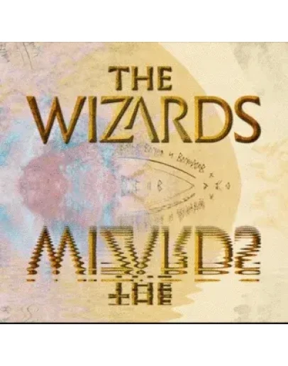 The Wizards (Oculus Quest 12Pro) VRGlobalGift