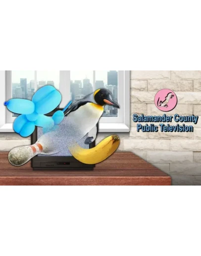 Salamander County Public Television XBOX ONE XS КЛЮЧ