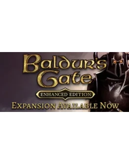 Baldur's Gate: Enhanced Edition (Steam Gift Россия)