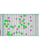 Solos Xbox One &amp Xbox Series XS активация