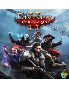 Divinity: Original Sin 2PS4
