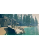 Friend or Foe АВТОДОСТАВКА STEAM GIFT RUSSIA