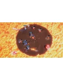 MageQuit Xbox One &amp Xbox Series XS активация