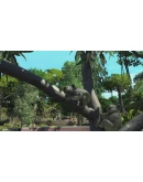 ZOO TYCOON: ULTIMATE ANIMAL COLLECTIONXBOXКЛЮЧ