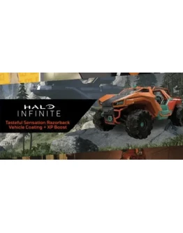 Halo Infinite - Tasteful Sensation Vehicle Coating +