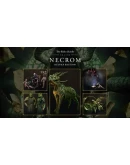The Elder Scrolls Online Deluxe Upgrade Necrom XBOX