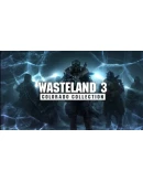 Wasteland 3 PS4/PS5 Турция