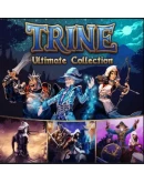 Trine 4 PS4/PS5 Турция