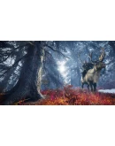 Интерактивный тур: эпоха викингов Xbox активация