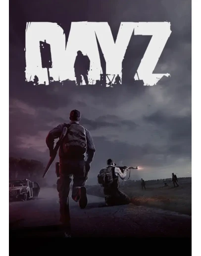 DAYZ ONLINE STEAM Полный доступ +