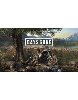 DAYS GONE ONLINE STEAM Полный доступ +