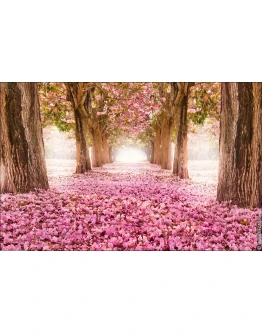 4631 фото цветущаяя аллея, весенний сад, фотобанк Bfoto