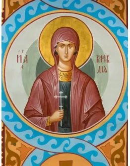 Клавдия, мц_001(82х107см)