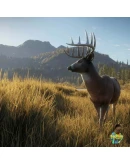 TheHunter Call of the WildОхотник Зов предков PS4PS5