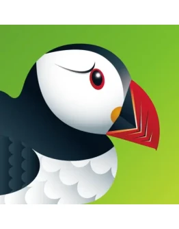 Puffin Web Browser PRO iPhone ios AppStore iPad +