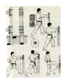 Откройте для себя каратэ!